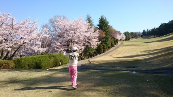 桜の時♪サムネイル