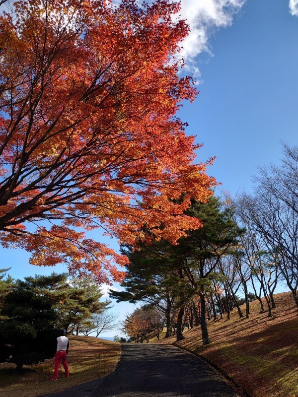 紅葉狩り ♪サムネイル